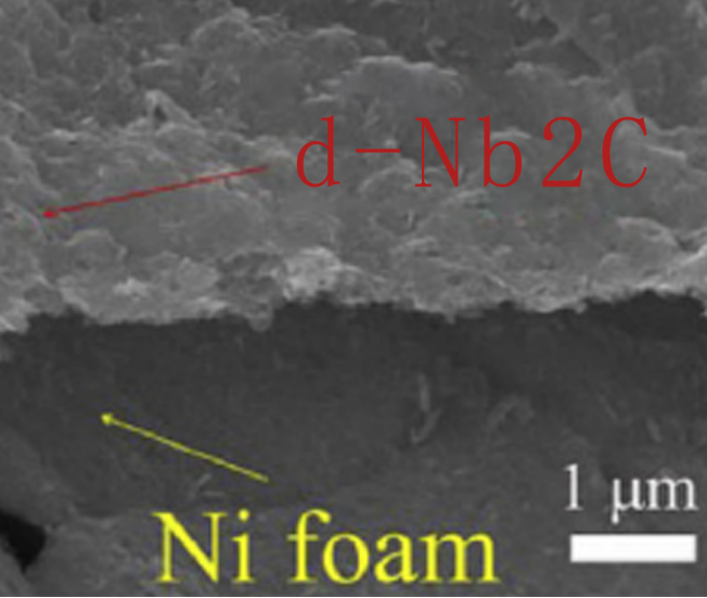 泡沫镍负载单层Nb2C-Mxene